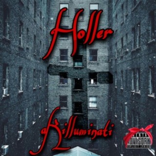 Holler (Zilla Remix)