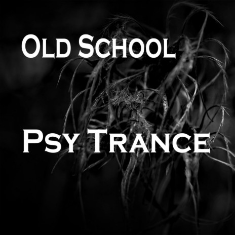 TrancePlantation (Original Mix)