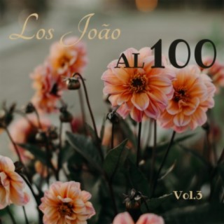 Los Joao al 100, Vol. 3