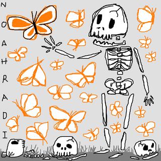 Butterflies and Skeltons