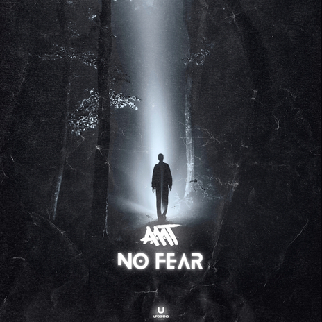 No Fear | Boomplay Music