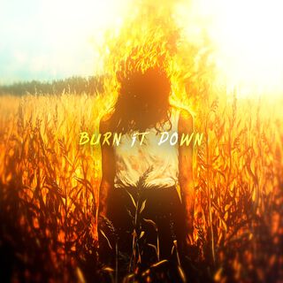 BURN IT DOWN