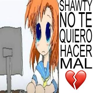 Shawty no te quiero hacer mal