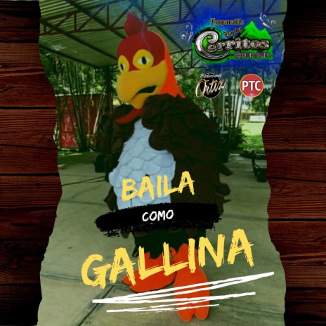 Baila como Gallina | Boomplay Music