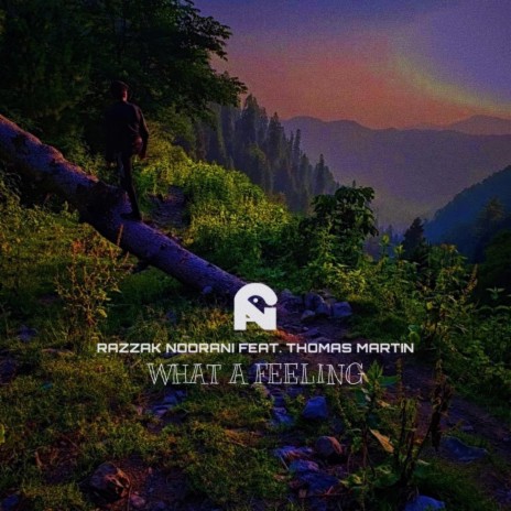 What A Feeling ft. Thomas Martin | Boomplay Music