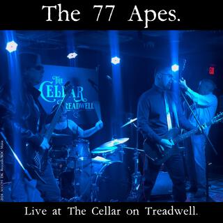 The '77 Style (Live at The Cellar on Treadwell) lyrics | Boomplay Music