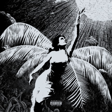 Palm Angel | Boomplay Music