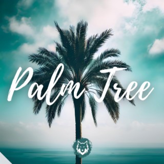 Palm Tree