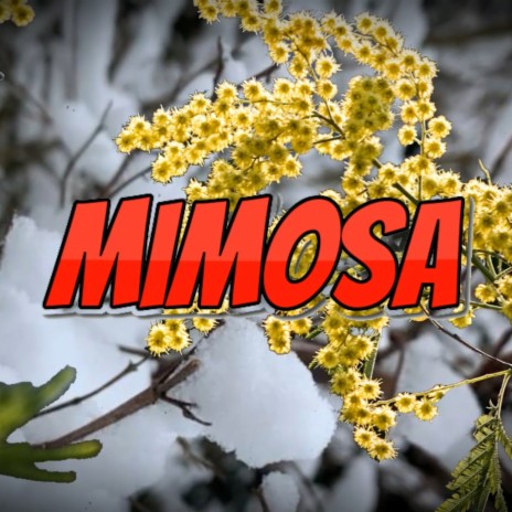 Mimosa | Boomplay Music