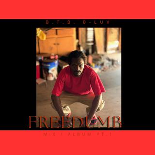 FreeDumb Mix Album