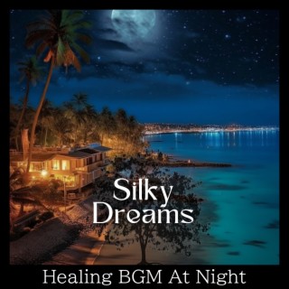 Healing BGM At Night