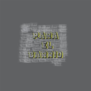 Para el Barrio (Instrumental)