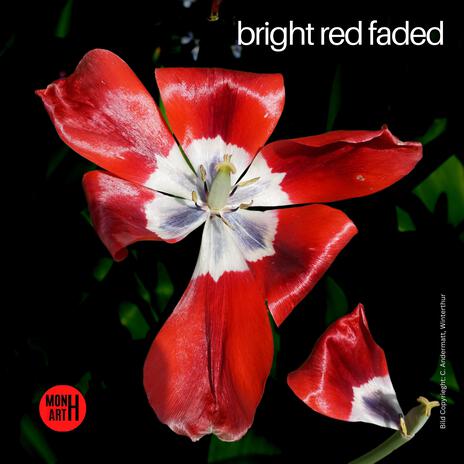 bright red faded | Boomplay Music