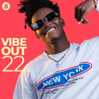 Vibe Out 22