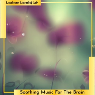 Soothing Music For The Brain