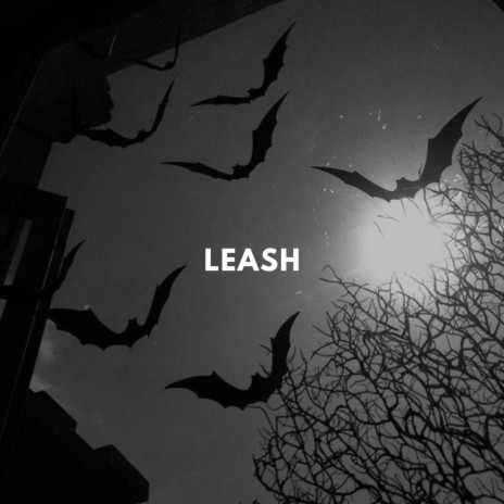 leash | Boomplay Music