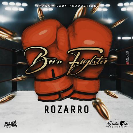 Born Fighter | Boomplay Music