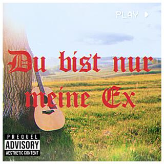 Du bist nur meine Ex