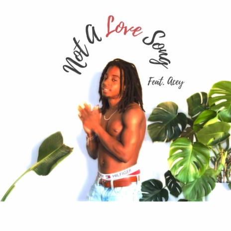 Not A Love Song ft. Acey | Boomplay Music