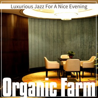 Luxurious Jazz For A Nice Evening