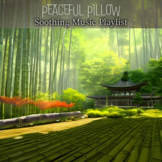 Soothing Music Playlist