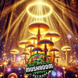 The Divinity of Shrooms