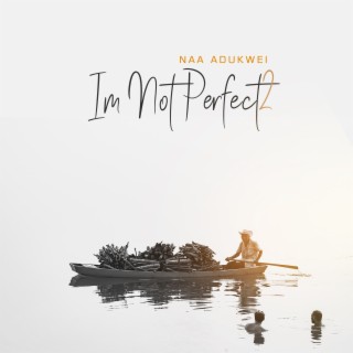 I'm Not Perfect 2