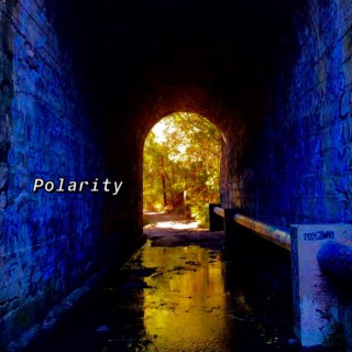 Polarity