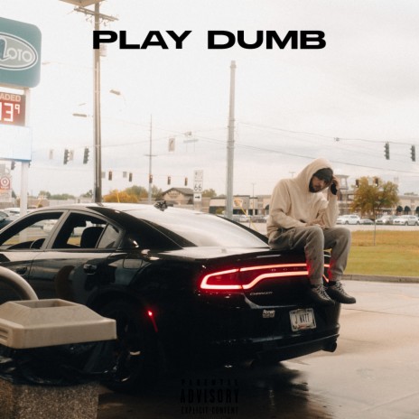 Play Dumb | Boomplay Music