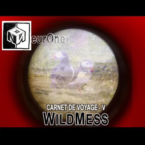 WildMess | Boomplay Music