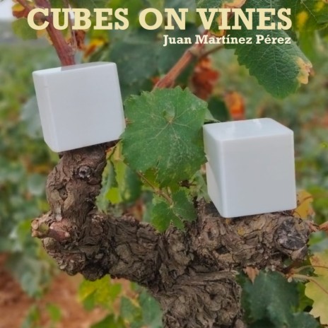 Cubes On Vines | Boomplay Music