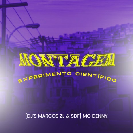 Montagem - Experimento Científico ft. DJ SDF & Mc Denny | Boomplay Music