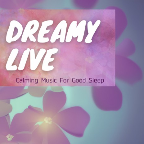 Beat to the Dream | Boomplay Music