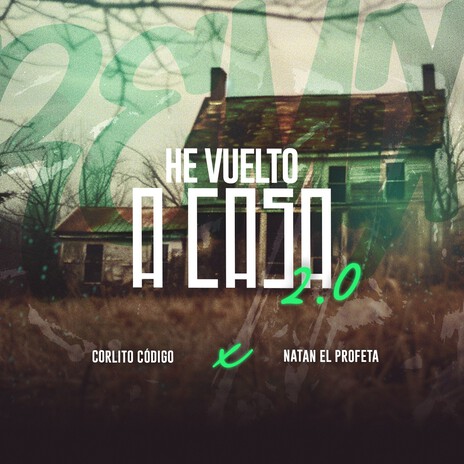 He Vuelto A Casa 2.0 ft. Natan El Profeta | Boomplay Music