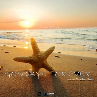 Goodbye Forever lyrics | Boomplay Music