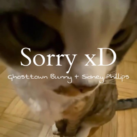 Sorry xD ft. Sidney Phillips | Boomplay Music