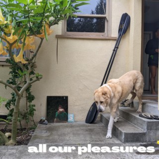 all our pleasures