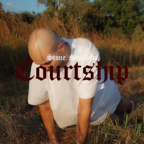 Courtship | Boomplay Music