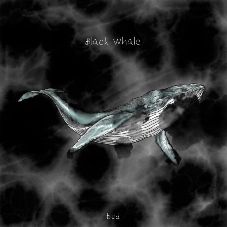 Black Whale | Boomplay Music