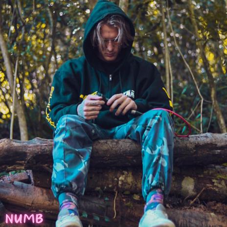 NUMB | Boomplay Music