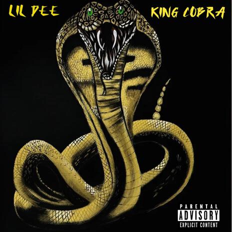 King Cobra | Boomplay Music