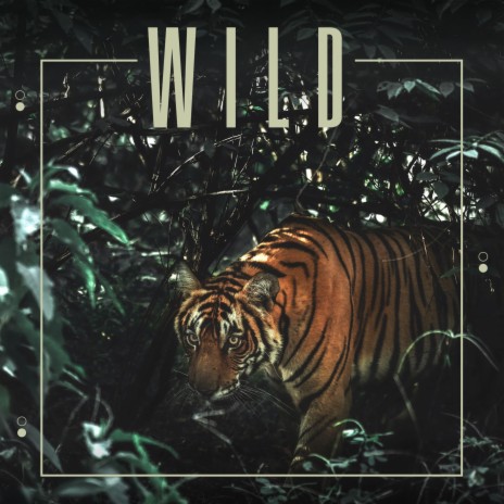 In The Wild | Boomplay Music