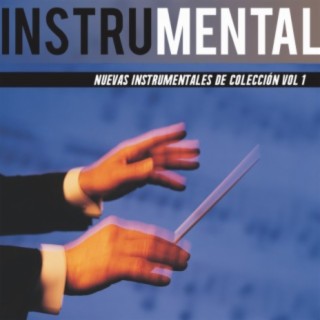 Nuevos Instrumentales De Colección Vol. 1