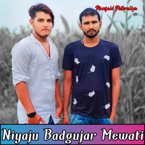 Niyaju Badgujar Mewati (Mewati Song) ft. Niyaju King