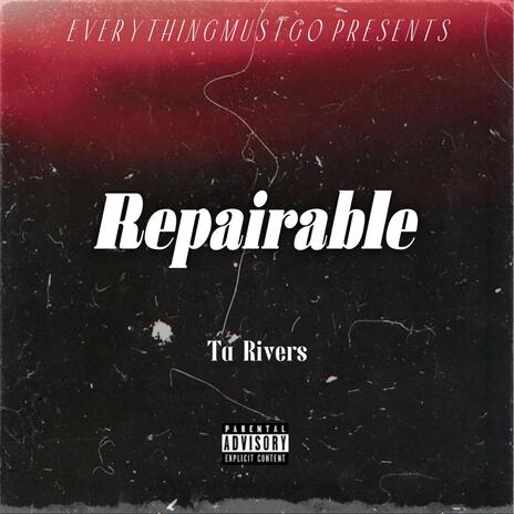 Repairable | Boomplay Music