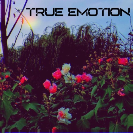 True Emotion | Boomplay Music