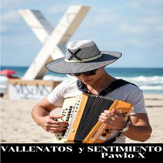 Vallenato Bajo la luna lyrics | Boomplay Music