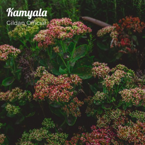 Kamyala | Boomplay Music