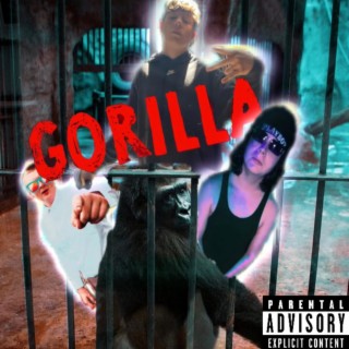 GORILLA