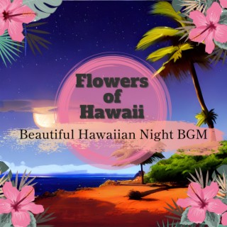 Beautiful Hawaiian Night BGM